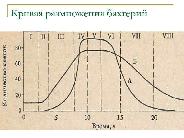 Кривая размножения бактерий 