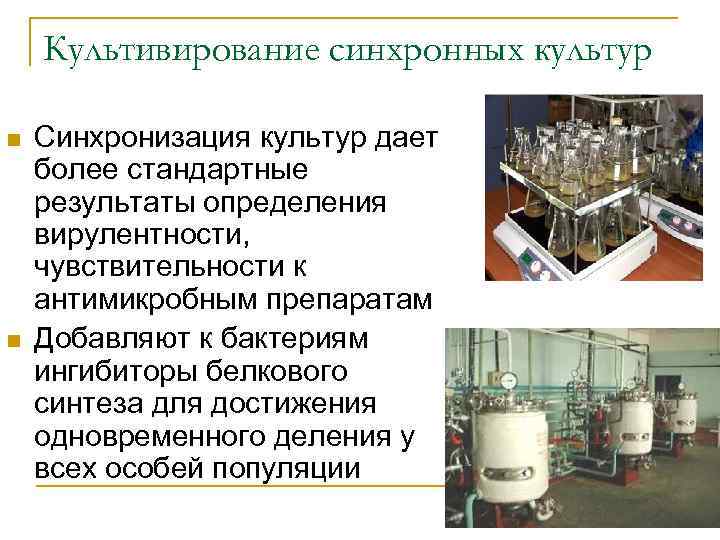 Культивирование синхронных культур n n Синхронизация культур дает более стандартные результаты определения вирулентности, чувствительности
