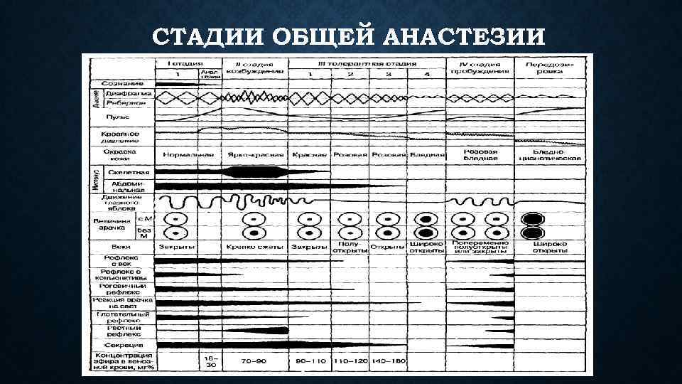 СТАДИИ ОБЩЕЙ АНАСТЕЗИИ 