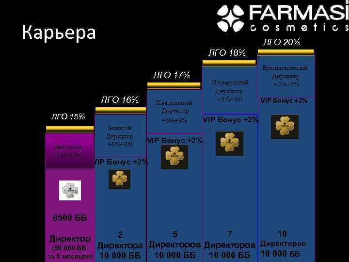 Карьера ЛГО 20% ЛГО 18% ЛГО 17% ЛГО 16% Платиновый Директор +5%+3% ЛГО 15%