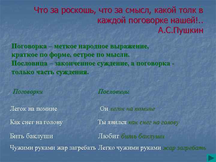 Что за роскошь, что за смысл, какой толк в каждой поговорке нашей!. . А.
