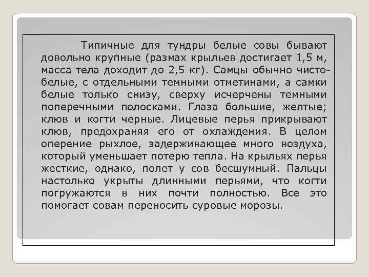 Типичные для тундры белые совы бывают довольно крупные (размах крыльев достигает 1, 5 м,