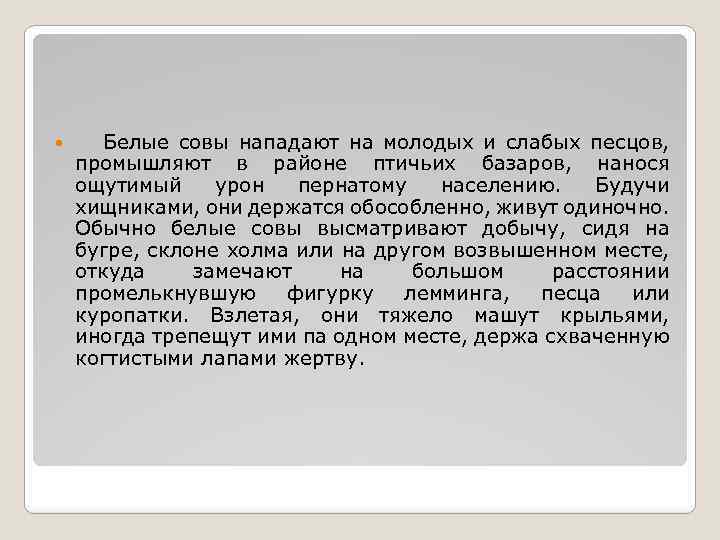  Белые совы нападают на молодых и слабых песцов, промышляют в районе птичьих базаров,