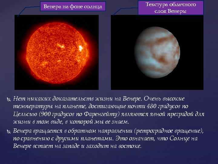 Минусы проекта венера