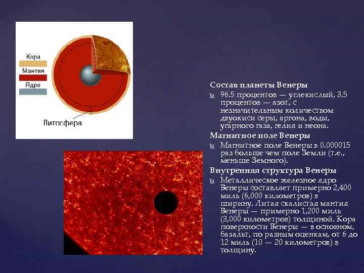 На диаграмме показан состав атмосферы планеты венера на сколько процентов азота меньше ответы