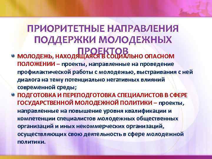 Проекты для молодежной политики