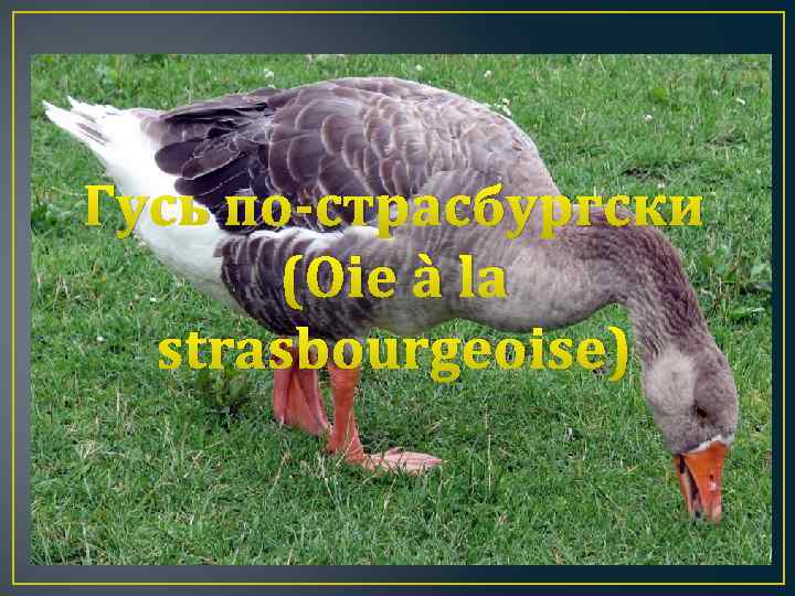 Гусь по-страсбургски (Oie à la strasbourgeoise) 