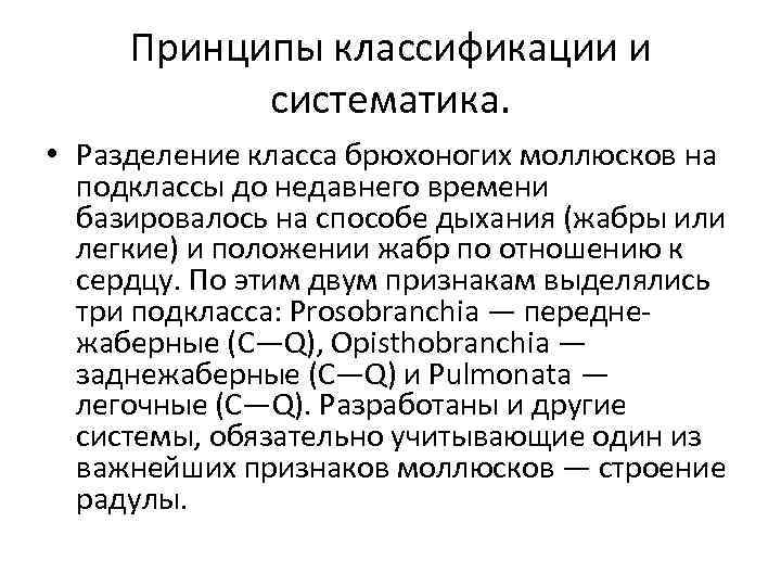 Принципы классификации и систематика. • Разделение класса брюхоногих моллюсков на подклассы до недавнего времени