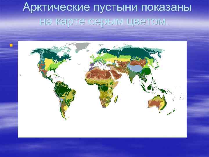  Арктические пустыни показаны на карте серым цветом. § 