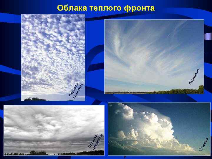 ые Ку че в Сл до оис жд тоев ые Пе Пе сл рист