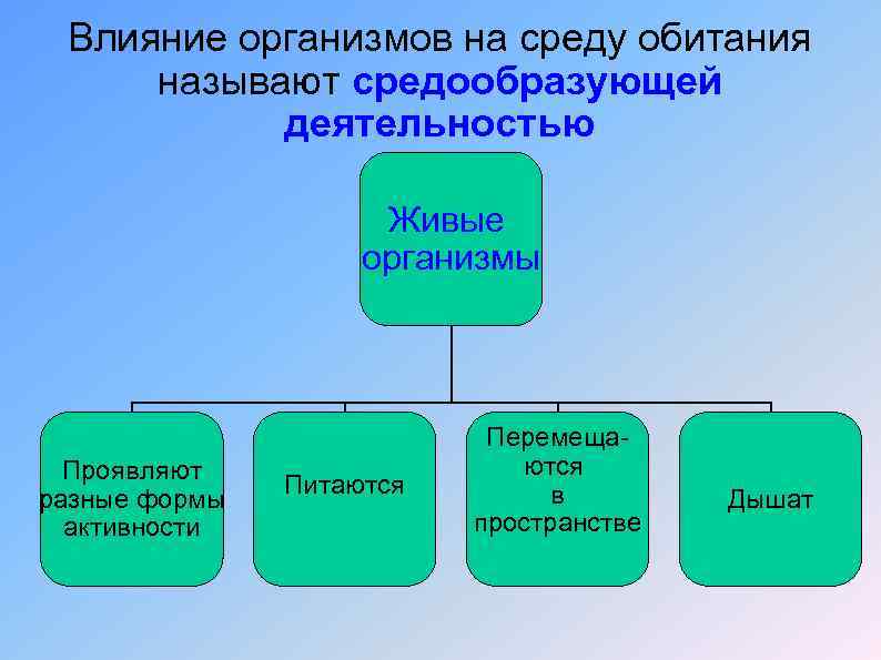 Влияние организмов на среду обитания называют средообразующей деятельностью Живые организмы Проявляют разные формы активности