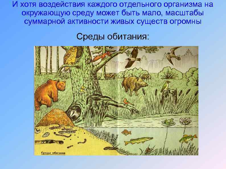 И хотя воздействия каждого отдельного организма на окружающую среду может быть мало, масштабы суммарной