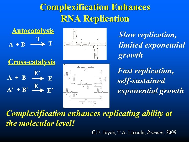 Complexification Enhances RNA Replication Autocatalysis A +B T T Cross-catalysis A + B A’