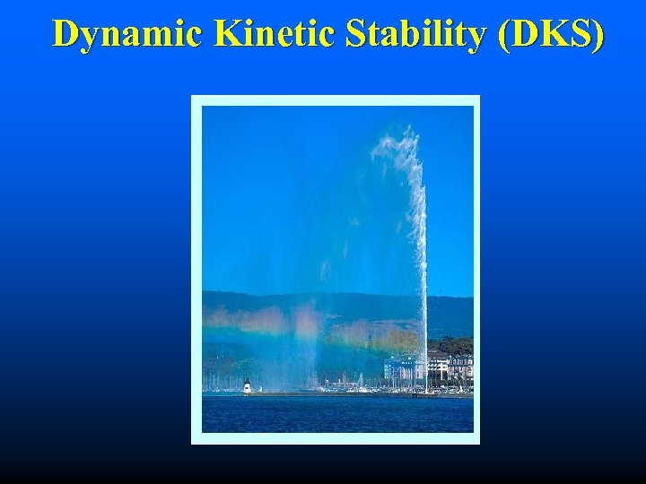 Dynamic Kinetic Stability (DKS) 