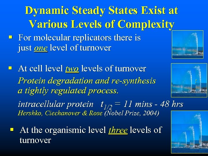 Dynamic Steady States Exist at Various Levels of Complexity § For molecular replicators there