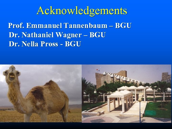 Acknowledgements Prof. Emmanuel Tannenbaum – BGU Dr. Nathaniel Wagner – BGU Dr. Nella Pross