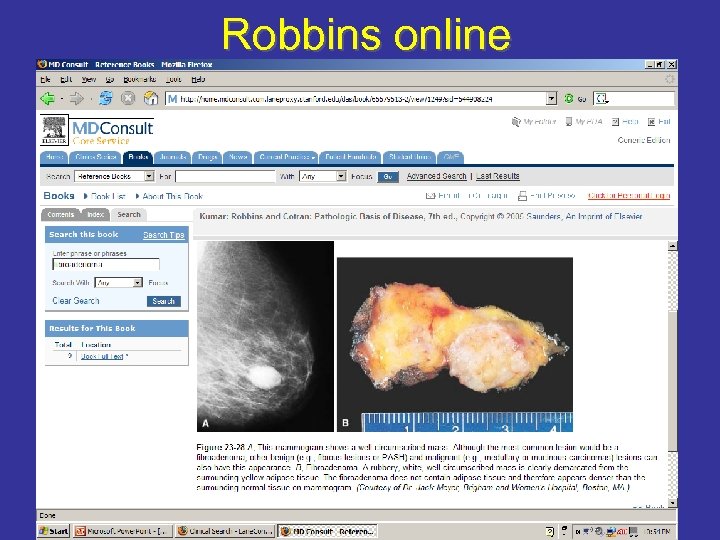 Robbins online 