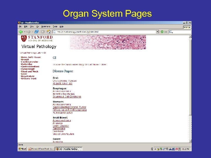 Organ System Pages 