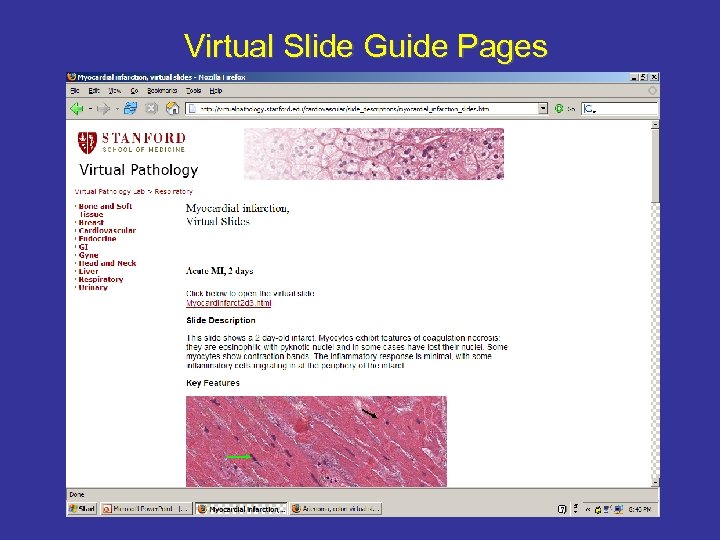 Virtual Slide Guide Pages 