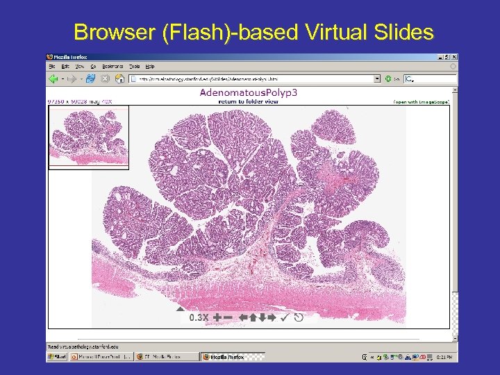 Browser (Flash)-based Virtual Slides 