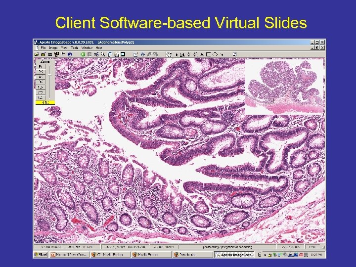 Client Software-based Virtual Slides 