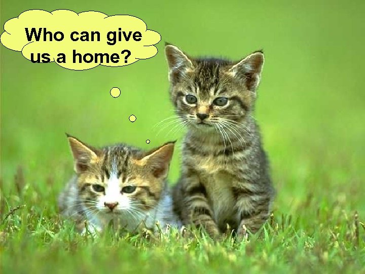 Who can give us a home? 