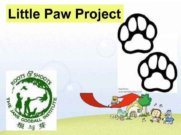Little Paw Project 