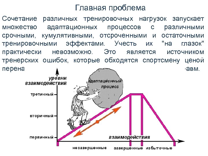 Главная проблема Сочетание различных тренировочных нагрузок запускает множество адаптационных процессов с различными срочными, кумулятивными,