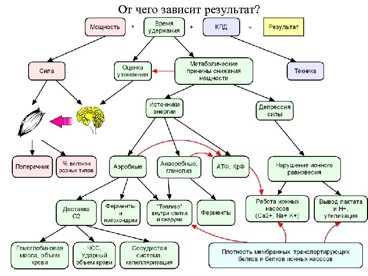 От чего зависит результат? 