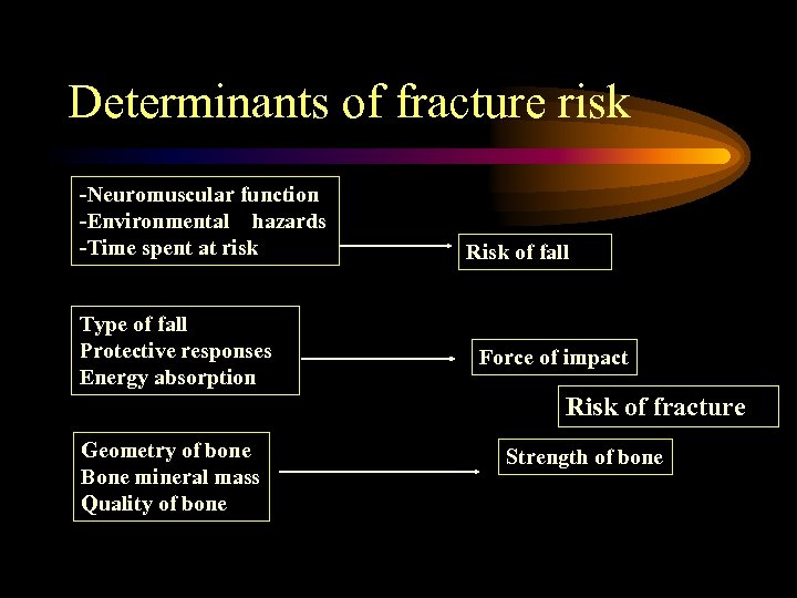 Determinants of fracture risk -Neuromuscular function -Environmental hazards -Time spent at risk Type of