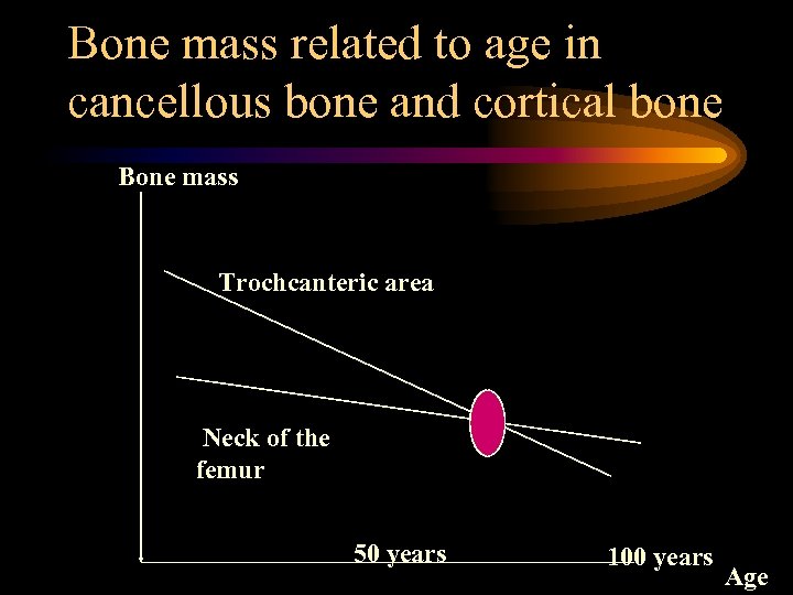 Bone mass related to age in cancellous bone and cortical bone Bone mass Trochcanteric