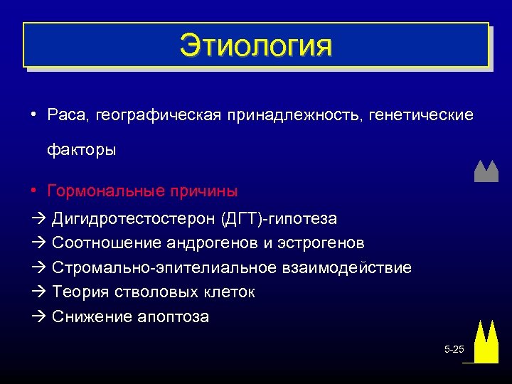 Этиология • Раса, географическая принадлежность, генетические факторы • Гормональные причины Дигидротестостерон (ДГТ)-гипотеза Соотношение андрогенов