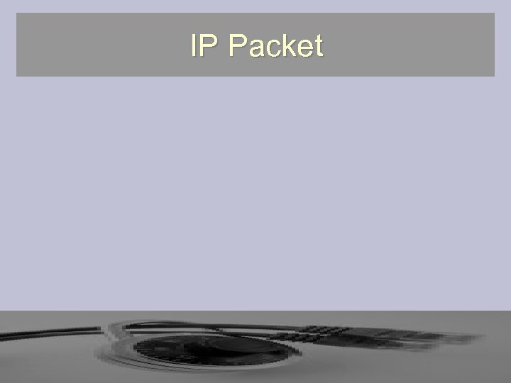 IP Packet 