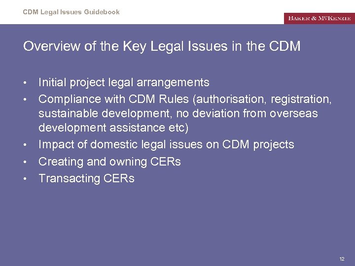 CDM Legal Issues Guidebook Overview of the Key Legal Issues in the CDM •
