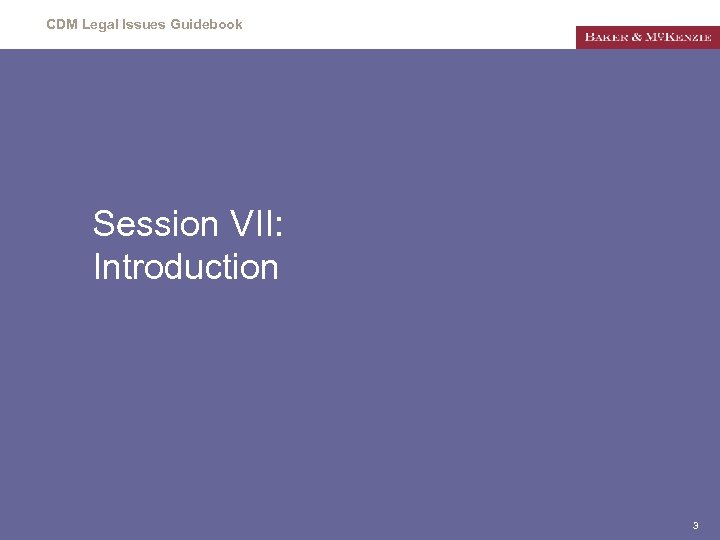 CDM Legal Issues Guidebook Session VII: Introduction 3 