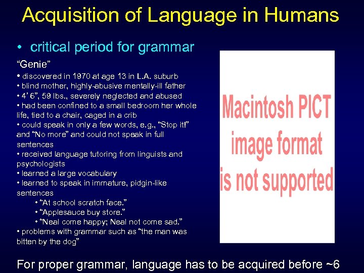 Acquisition of Language in Humans • critical period for grammar “Genie” • discovered in