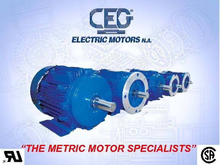 CEG NORTH AMERICA “THE METRIC MOTOR SPECIALISTS” 