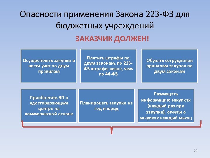 Заказчик размещает в единой информационной системе план закупки товаров работ услуг на срок 223 фз