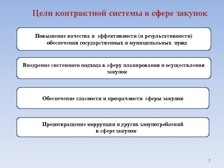 Принципы контрактной системы в сфере закупок презентация