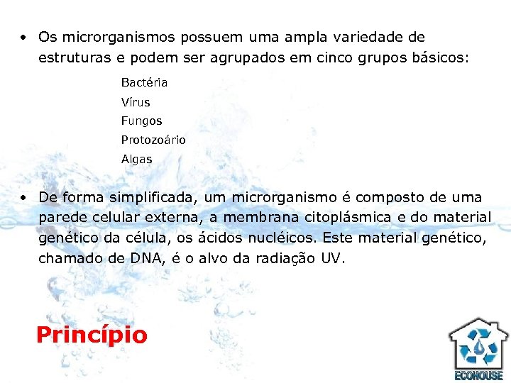  • Os microrganismos possuem uma ampla variedade de estruturas e podem ser agrupados