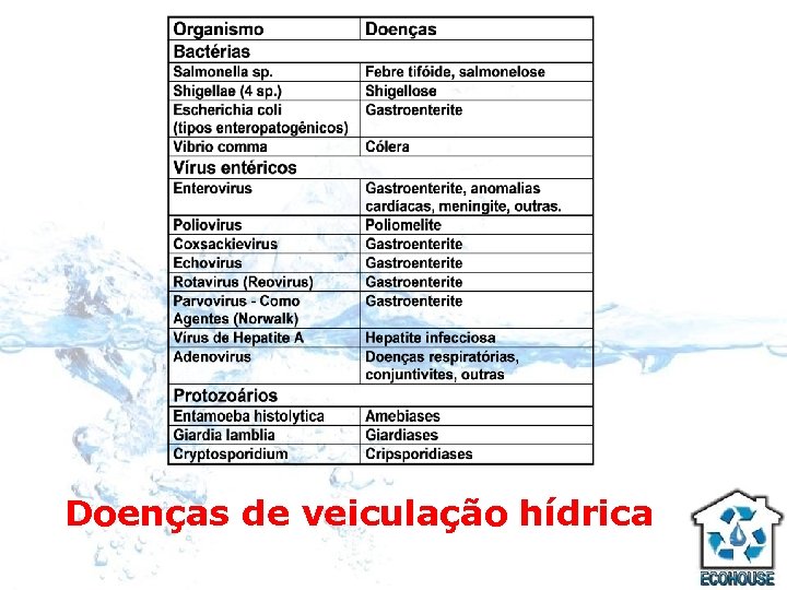 Doenças de veiculação hídrica 