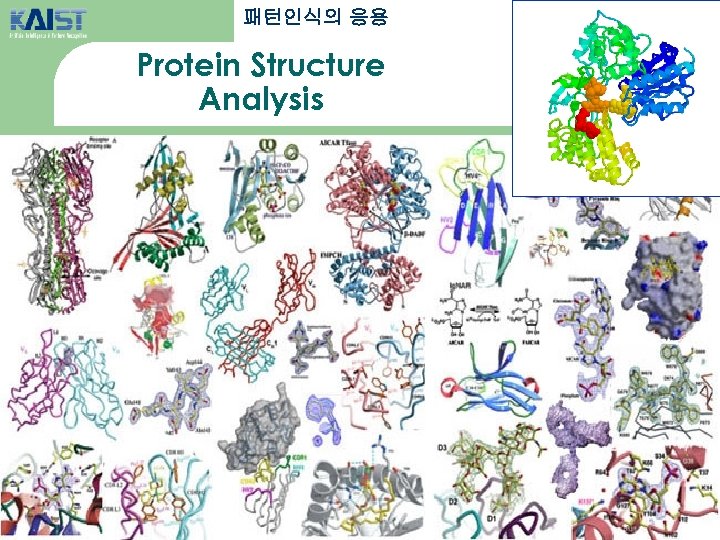 패턴인식의 응용 Protein Structure Analysis 20 