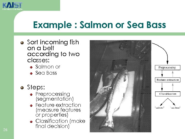 Example : Salmon or Sea Bass Sort incoming fish on a belt according to