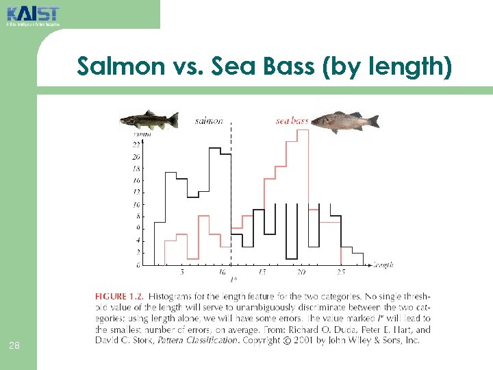 Salmon vs. Sea Bass (by length) 28 