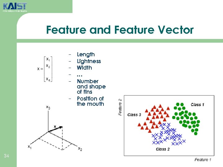 Feature and Feature Vector − − − 34 Length Lightness Width … Number and