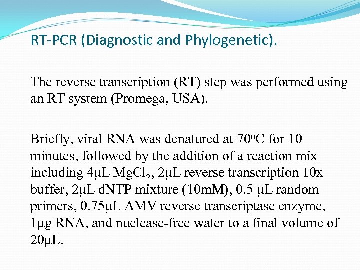 RT-PCR (Diagnostic and Phylogenetic). The reverse transcription (RT) step was performed using an RT