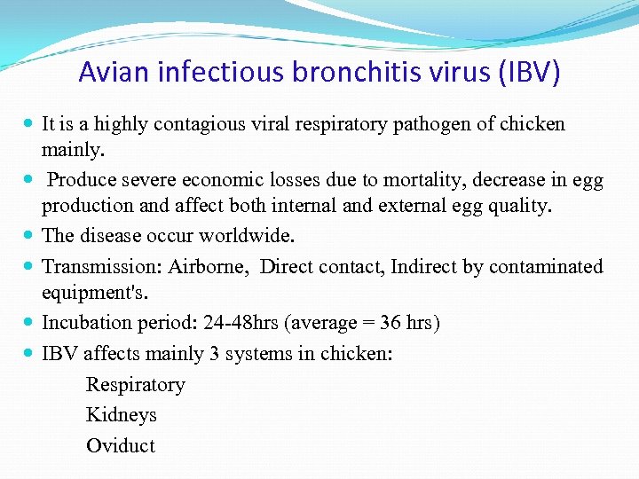 Avian infectious bronchitis virus (IBV) It is a highly contagious viral respiratory pathogen of