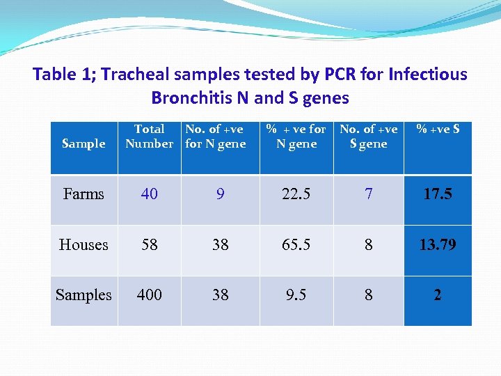 Table 1; Tracheal samples tested by PCR for Infectious Bronchitis N and S genes