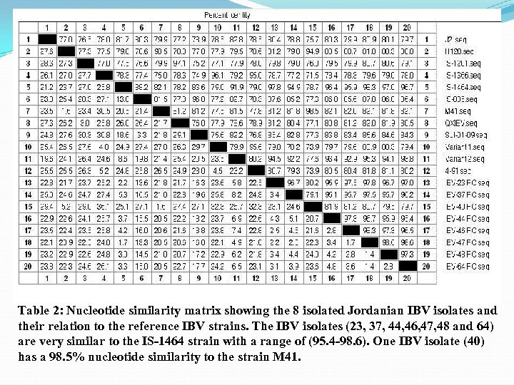 Table 2: Nucleotide similarity matrix showing the 8 isolated Jordanian IBV isolates and their