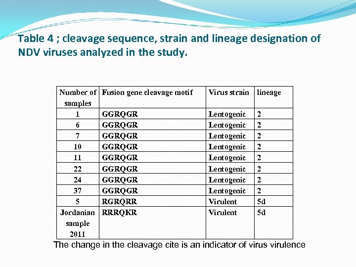 Table 4 ; cleavage sequence, strain and lineage designation of NDV viruses analyzed in